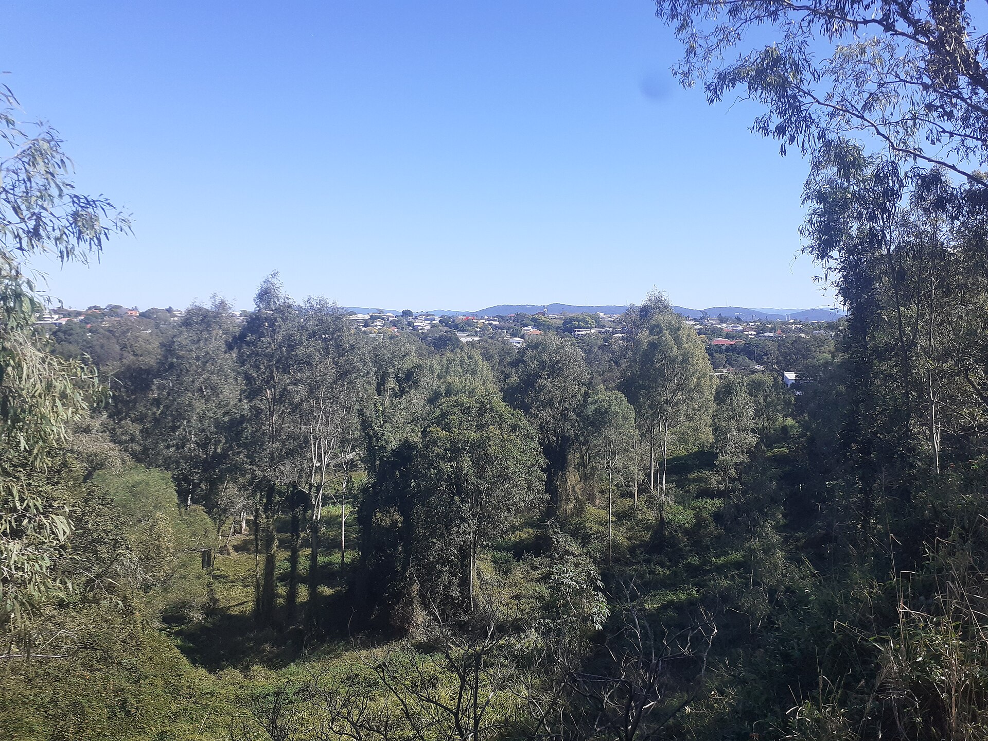 A view from a wooded ridge across a gully of eucalypt trees toward low-set suburban houses and rooftops, with blue hills on the horizon under a clear sky.
